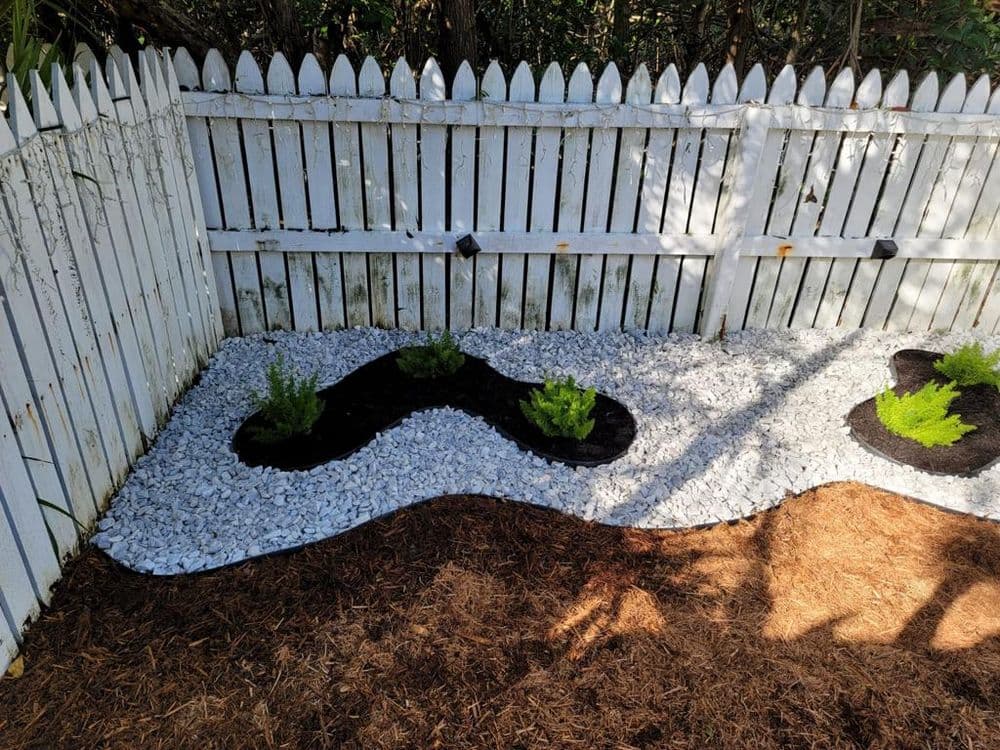 Lush landscape design with white gravel base and vibrant green plants near a wooden fence.