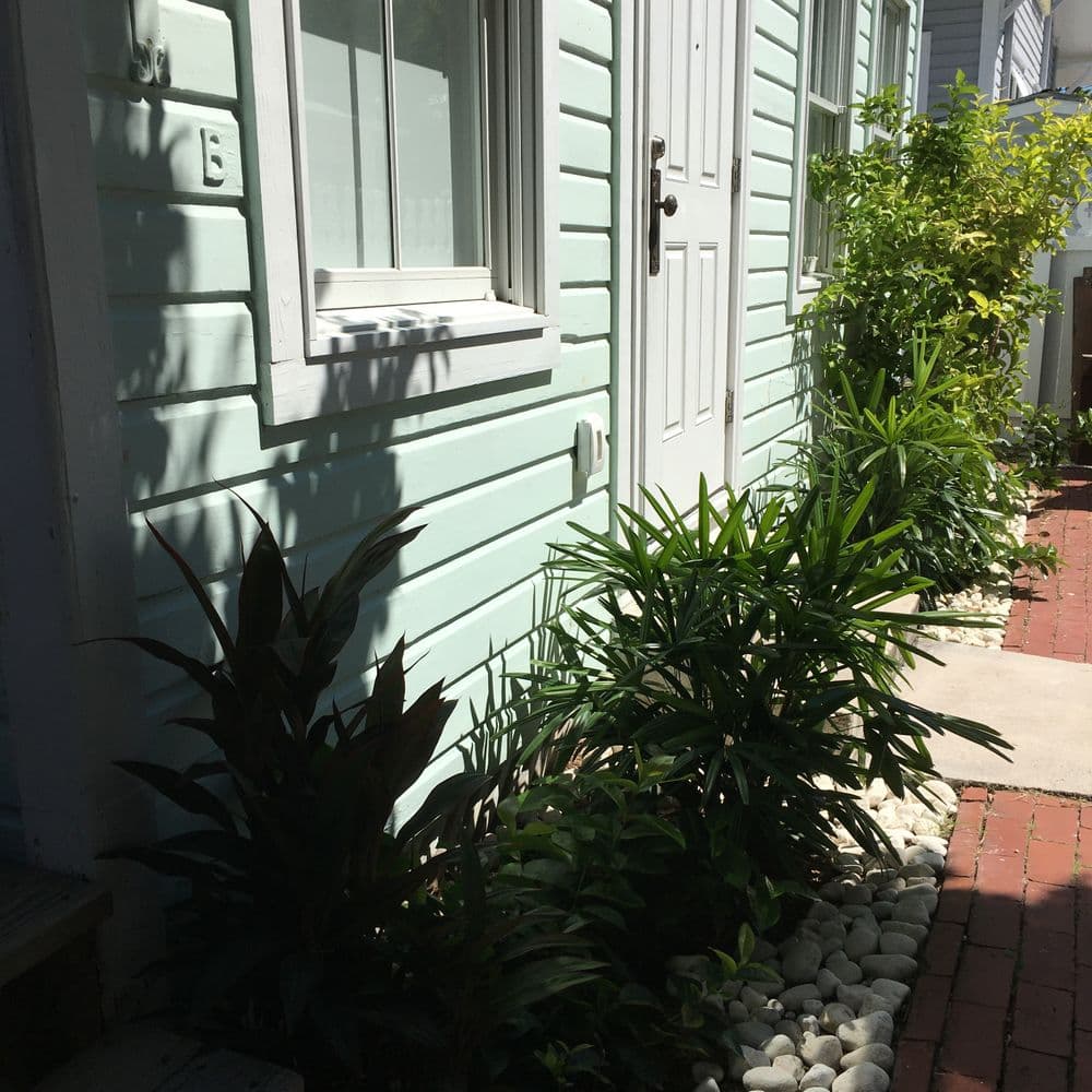 Entryway featuring light blue siding, greenery, and stone pathway beside the door.
