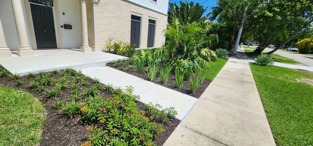 Modern home entrance featuring landscaped path, tropical plants, and manicured lawn.