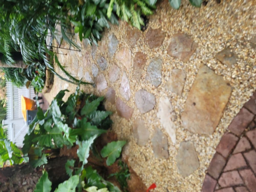 Stone pathway bordered by lush greenery in a serene garden setting.