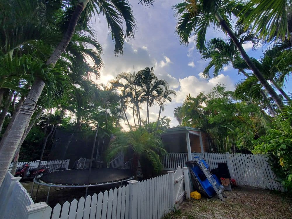 Tranquil backyard scene with palm trees, trampoline, and a white picket fence under a cloudy sky.