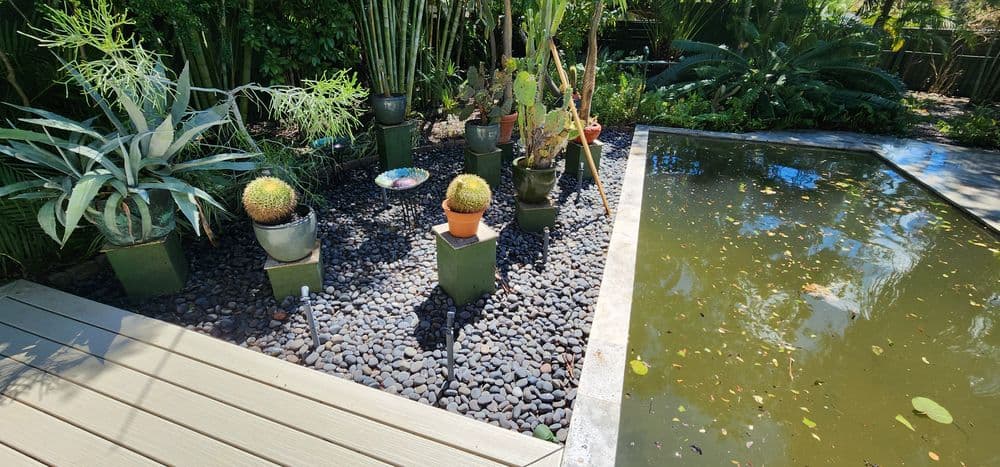 Garden with cacti and succulents arranged on gravel near a reflective pond.