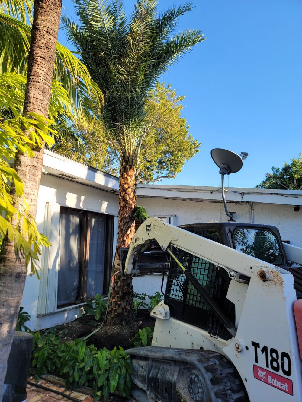 Bobcat T180 machine near a palm tree in a residential garden setting.