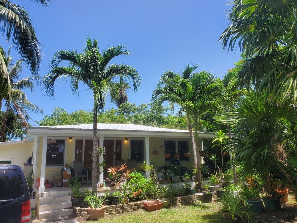 Charming house with tropical landscaping and palm trees on a sunny day.