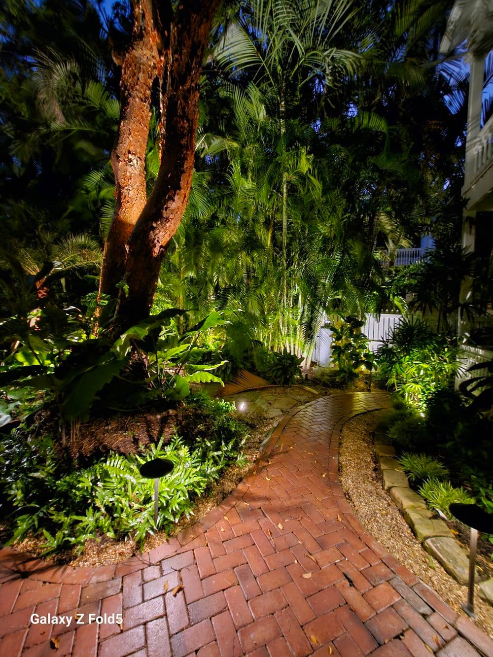 Lush garden pathway with tropical plants and warm lighting at night.