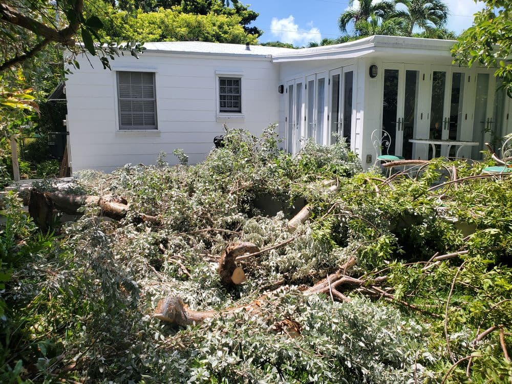 Detached house in disarray with fallen tree branches and debris in the backyard.