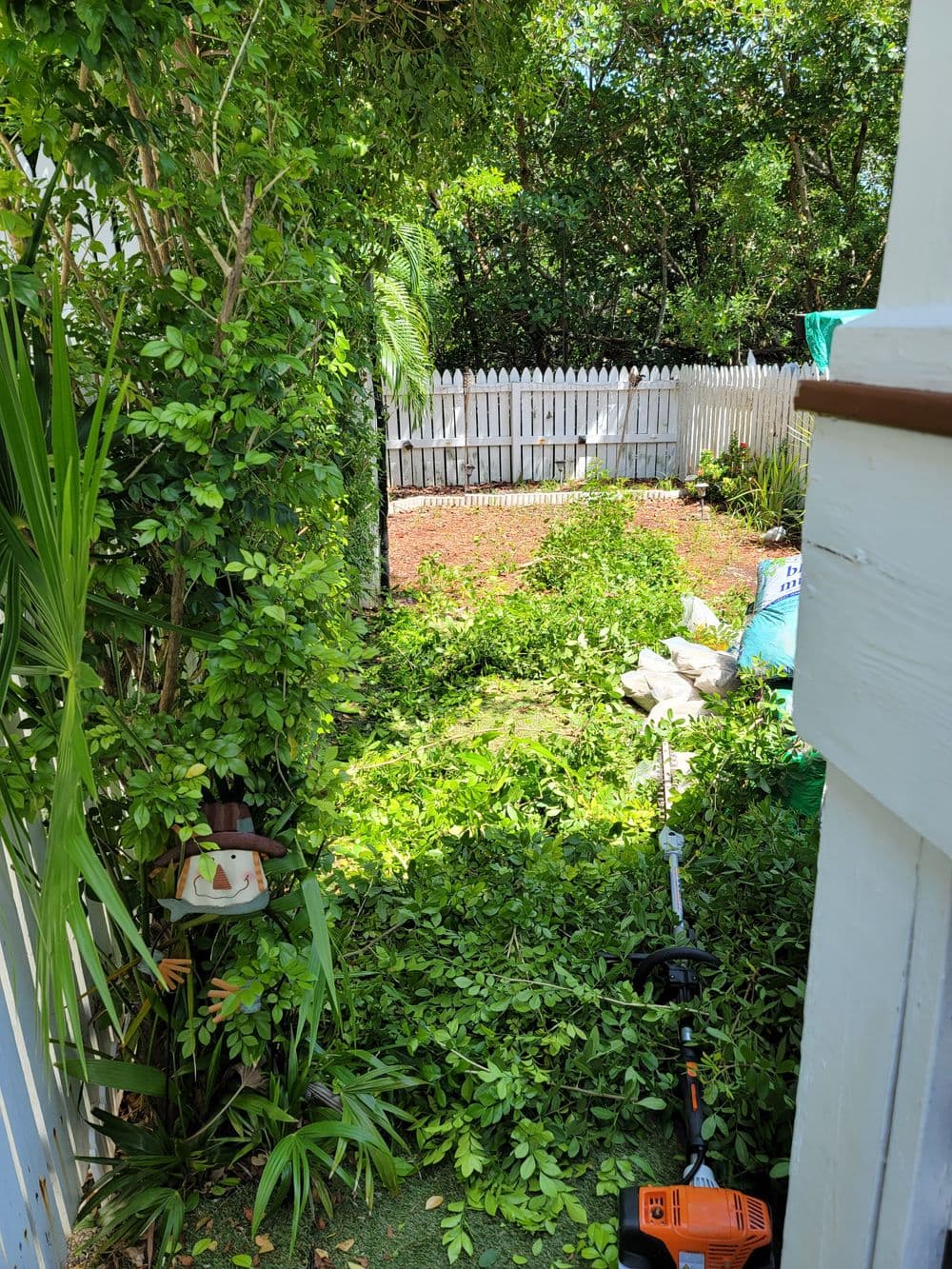 Lush garden overgrown with green foliage and debris after landscaping work.