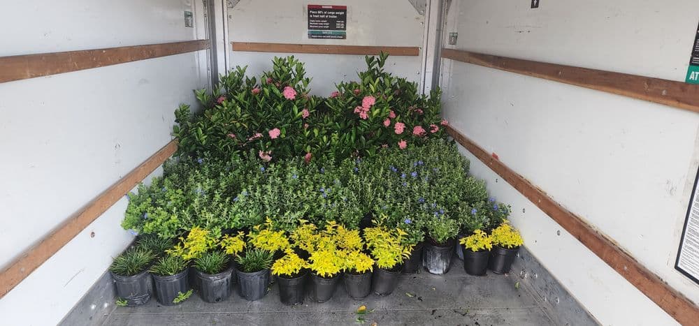 Colorful potted plants including flowers and greenery arranged in a delivery truck.