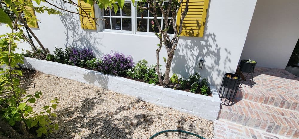 Colorful flower bed with purple blooms and greenery next to a white wall and yellow shutters.