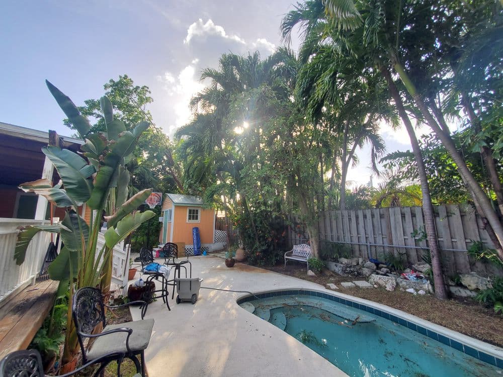 Tropical backyard with pool, lush greenery, and sunny sky. Relaxing outdoor space.