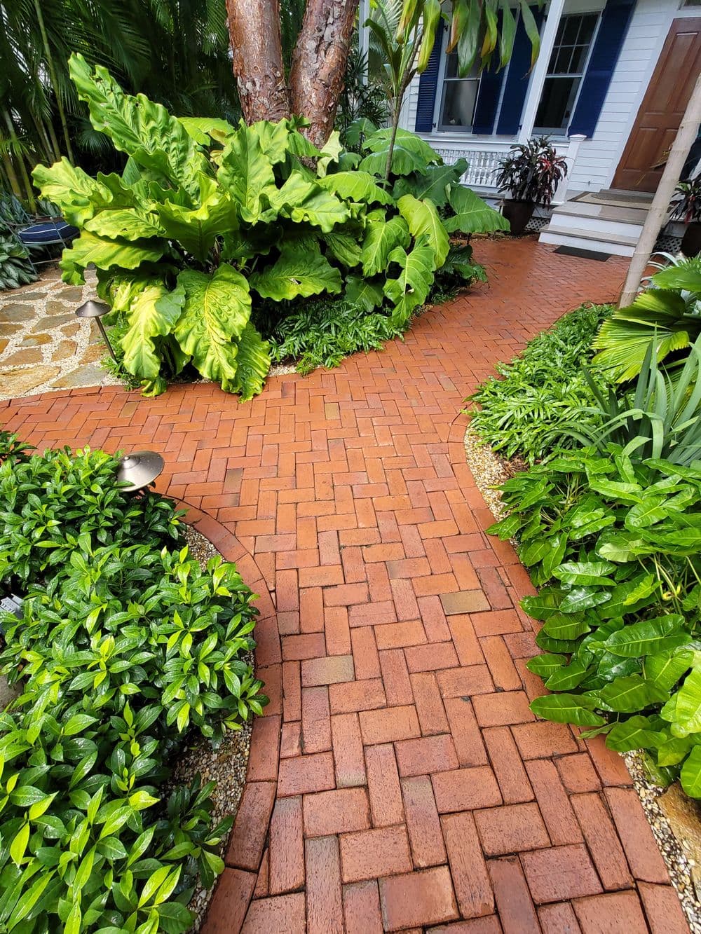 Lush green foliage surrounding a brick path leading to a white house entrance.