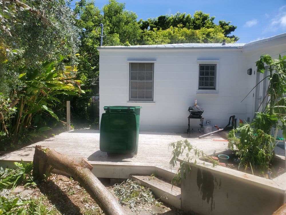 Backyard scene featuring a green garbage bin, wooden deck, and tropical plants.