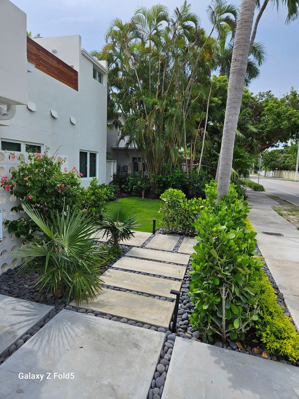 Modern paved pathway surrounded by tropical plants and trees in a landscaped garden.