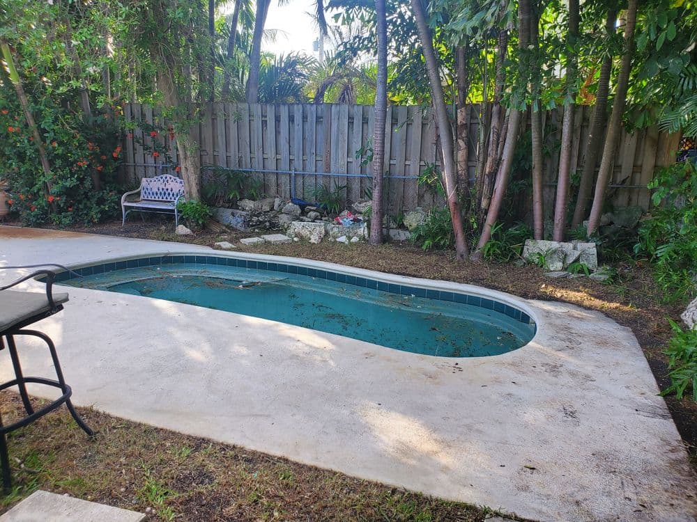 Overgrown backyard with a neglected swimming pool surrounded by tropical greenery.