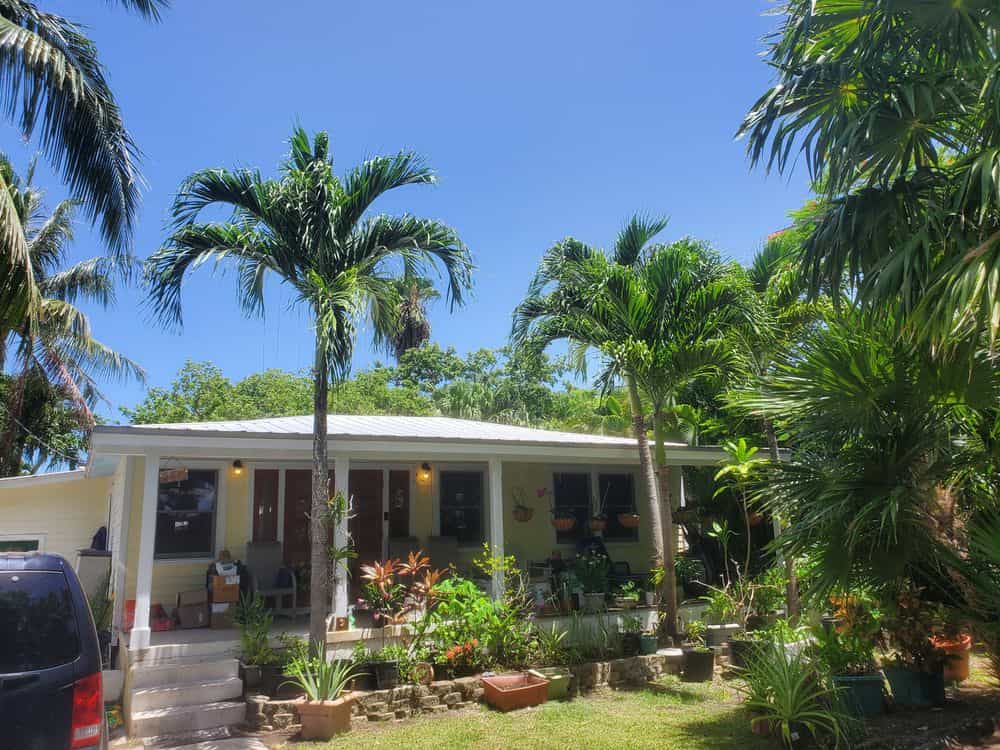 Hero image for Fabi's Fabulous gardens inc.